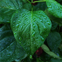 udine-quando-piove